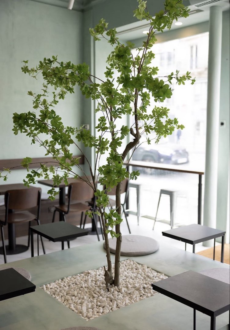 Photo 2 de Kun Café, 68 Rue La Fayette