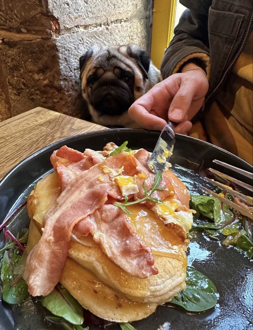 Photo 1 de Milk & Pug, 8 Rue Saint-Jean