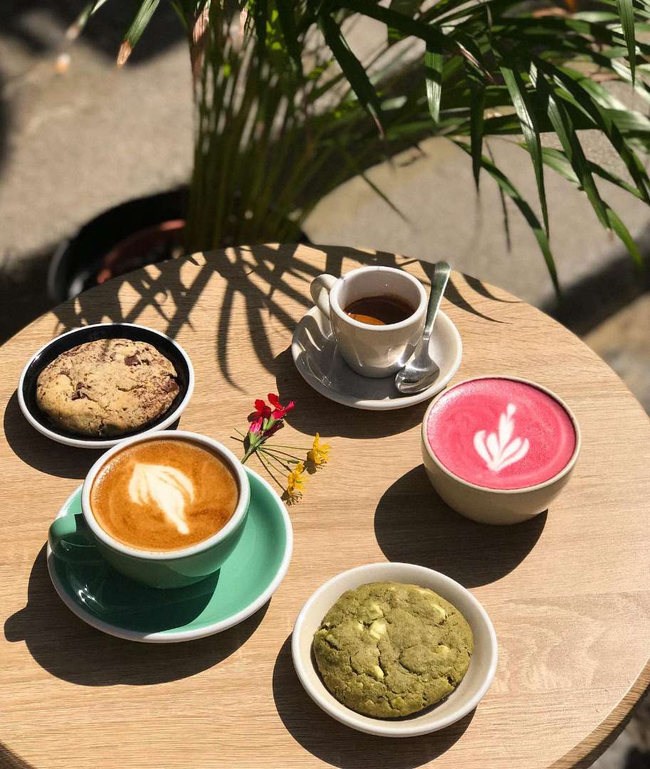 Canopi Coffee