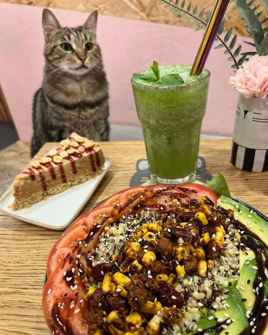 Photo 1 of Meow Cats Café, 10 Rue Fonderie