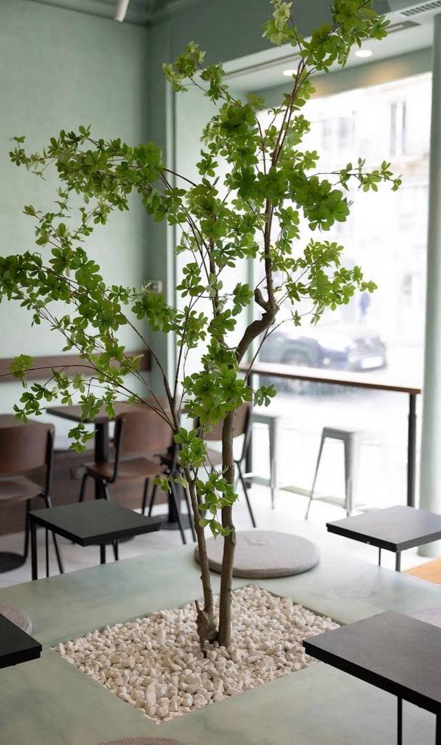Photo 2 of Kun Café, 68 Rue La Fayette