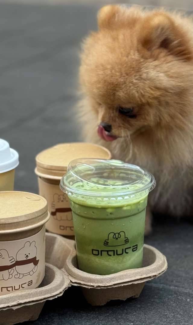 Photo 1 of Omura Café, 5 Rue du Collet