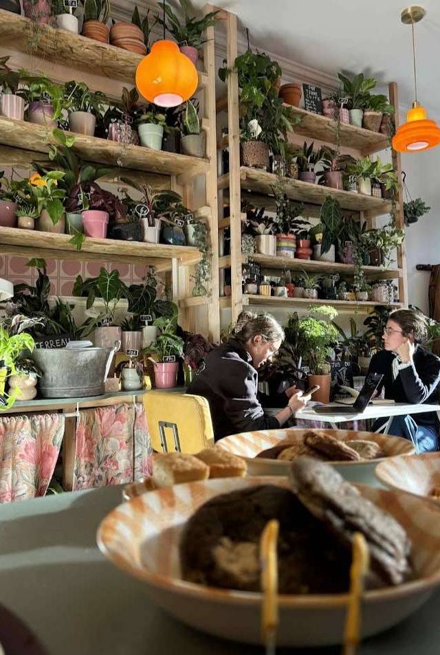 Photo 2 of MimiMosa, 42 Rue Cauchoise