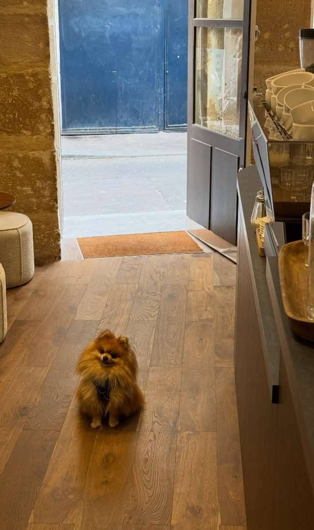 Photo 1 of PASA DENA, 19 Rue des Écouffes